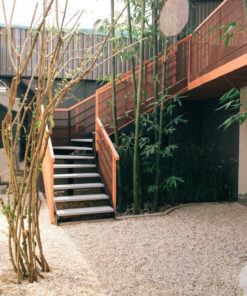 Toong Võ Thị Sáu